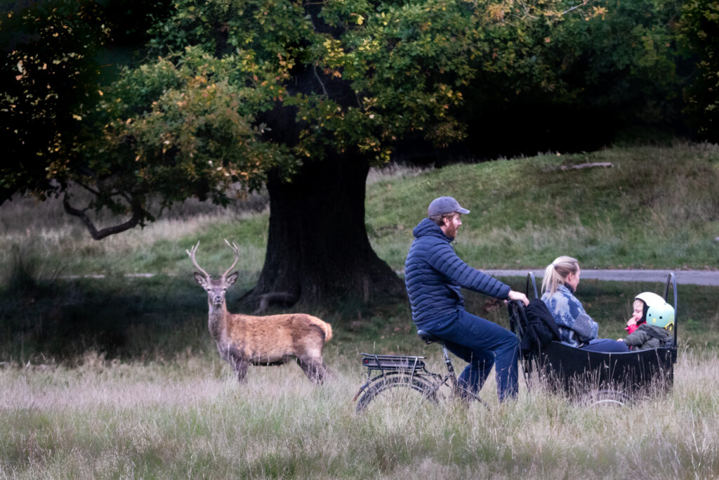 Photo of A family visiting the deer forest in Klampenborg